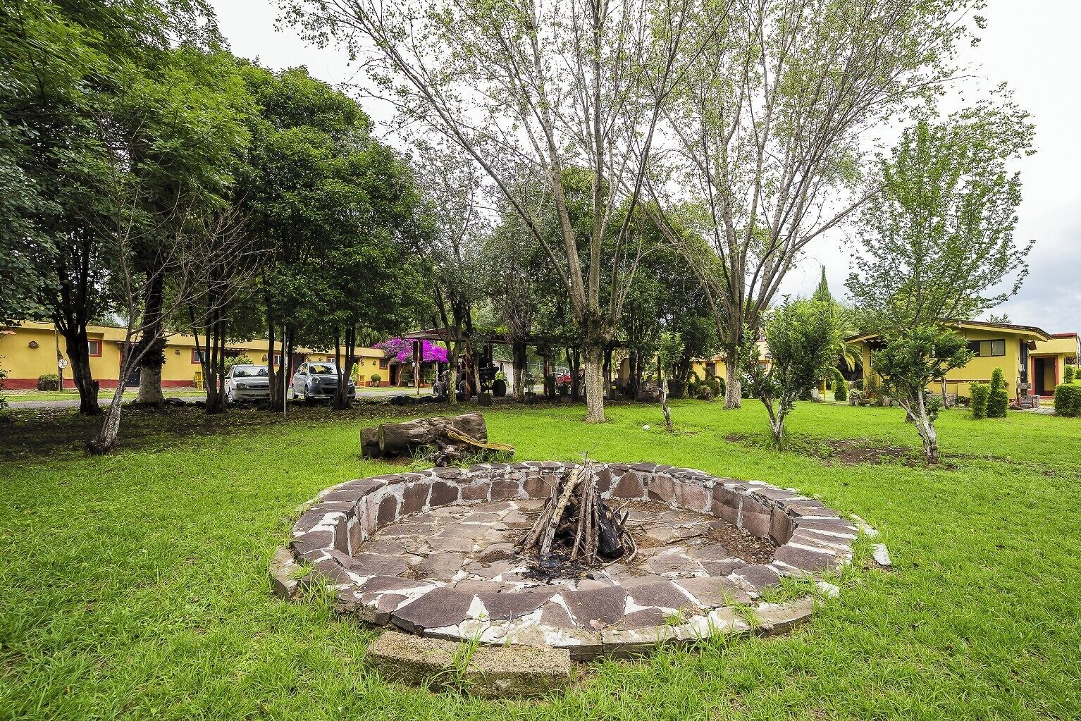 Jardín