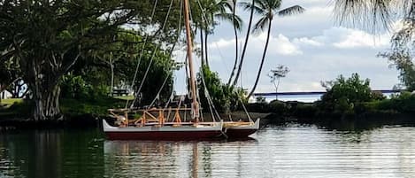 Un bote sobre aguas tranquilas, con una orilla cubierta de hierba y árboles al fondo.
