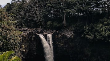 A waterfall surrounded by lush greenery.