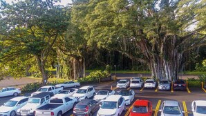 A parking lot with multiple cars parked under trees. - Hilo Reeds Bay Hotel (Hilo)