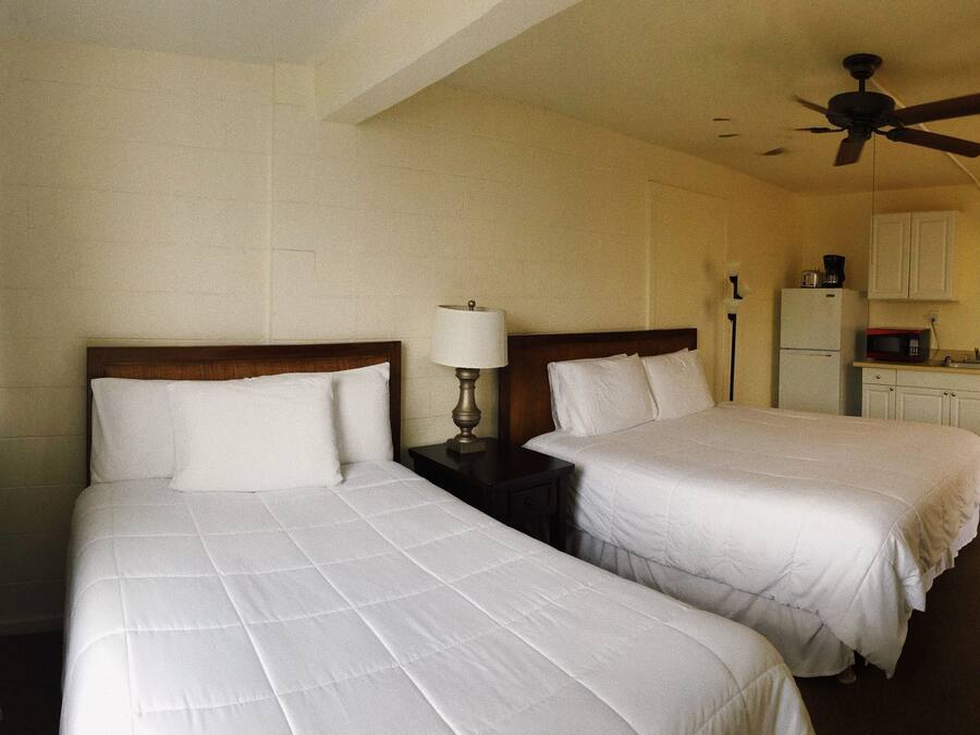 A hotel room with two beds, a ceiling fan, a small table with a lamp, a refrigerator, and a microwave.