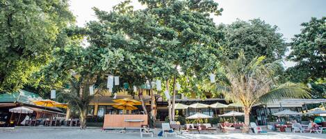 A beachside resort with outdoor seating and umbrellas, surrounded by lush trees.