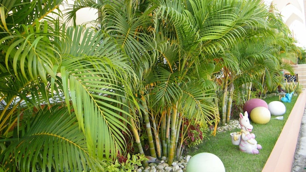 Un exuberante jardín con palmeras y elementos decorativos como una estatua blanca de un unicornio y bolas de colores.