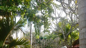 A pathway leading through a garden with various plants and trees. - Momento Resort (Pattaya)