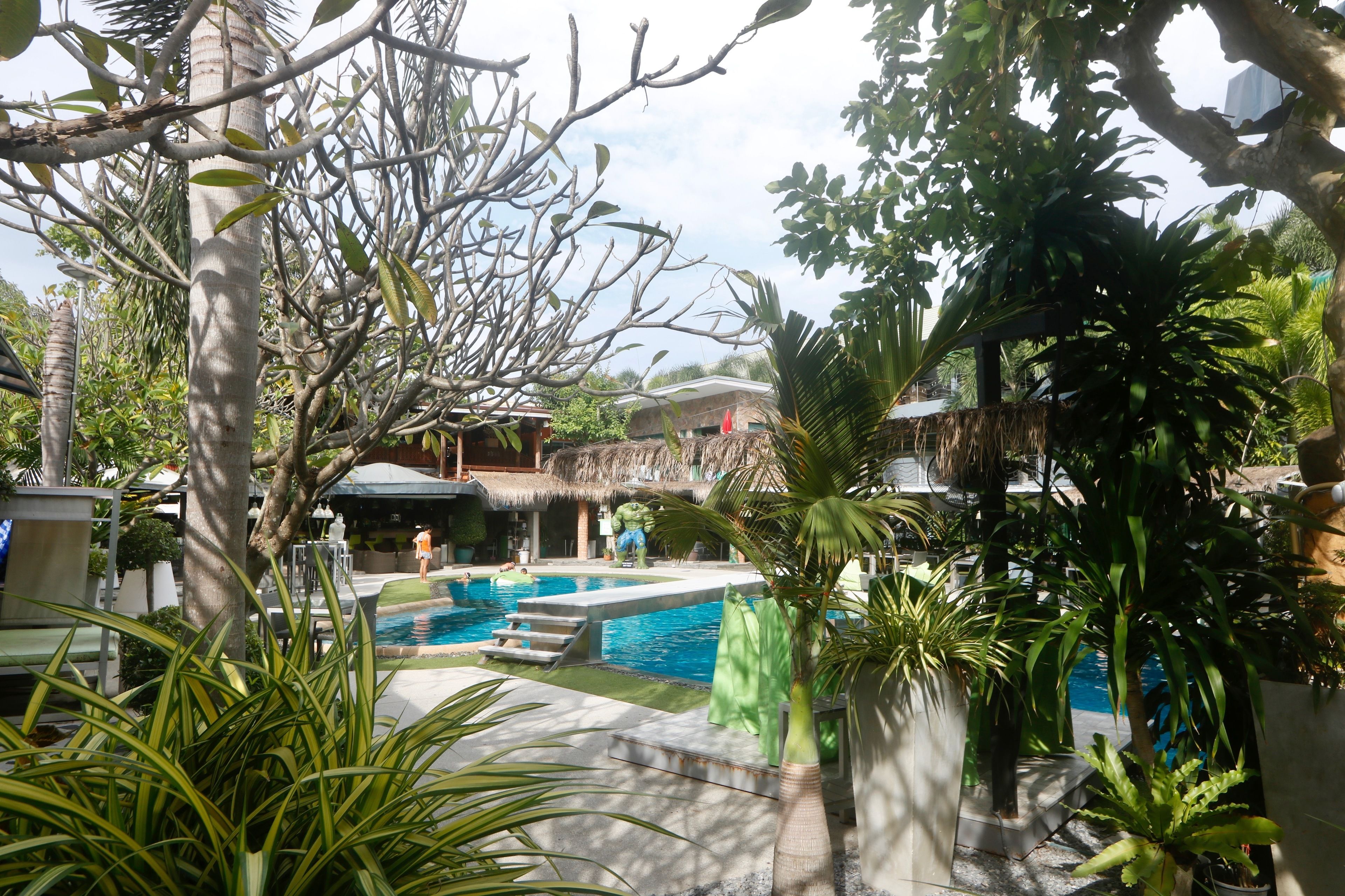 Un área de piscina con una estructura de techo de paja, rodeada de abundante follaje y palmeras.