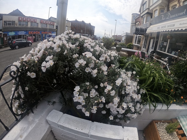 Vista de la calle con un jardín de flores, un bar deportivo y un edificio con un letrero que dice "The Danescourt".