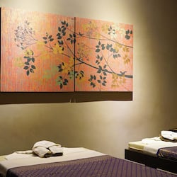 Body treatments, aromatherapy, Thai massages, reflexology, massages