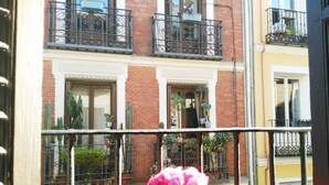 A balcony with a red cushion and a pink flower, overlooking a building with multiple balconies and potted plants. - Hostal Bruña (Madrid)
