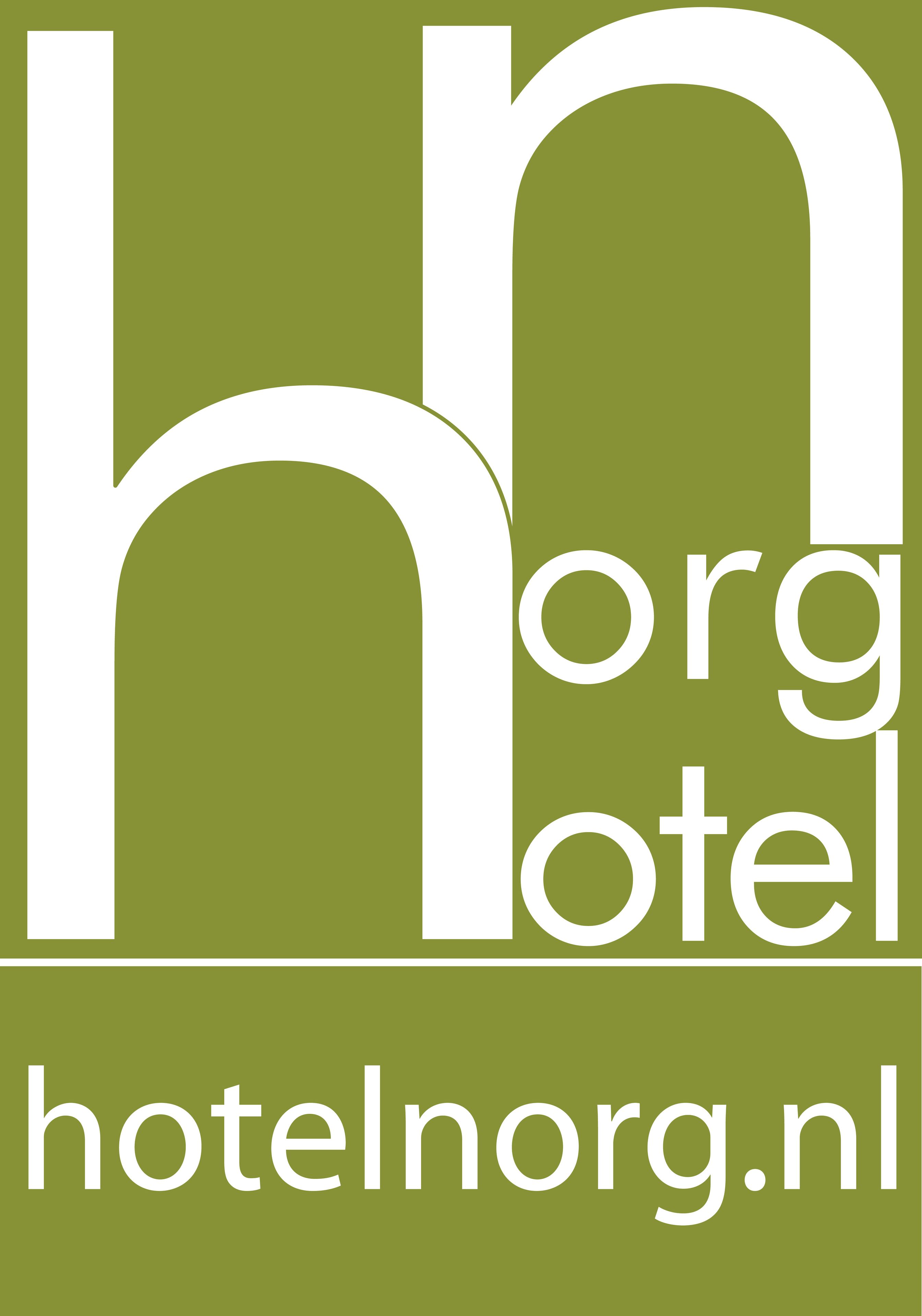 Un logo avec le texte « hotelnorg.nl ».