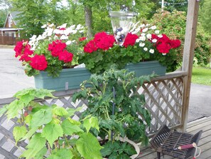 花園