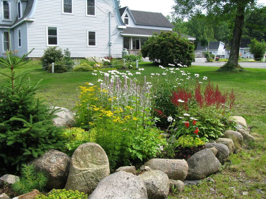 Un barrio residencial con una casa blanca, un jardín bien cuidado con diversas plantas y flores, y un muro de piedra al frente.
