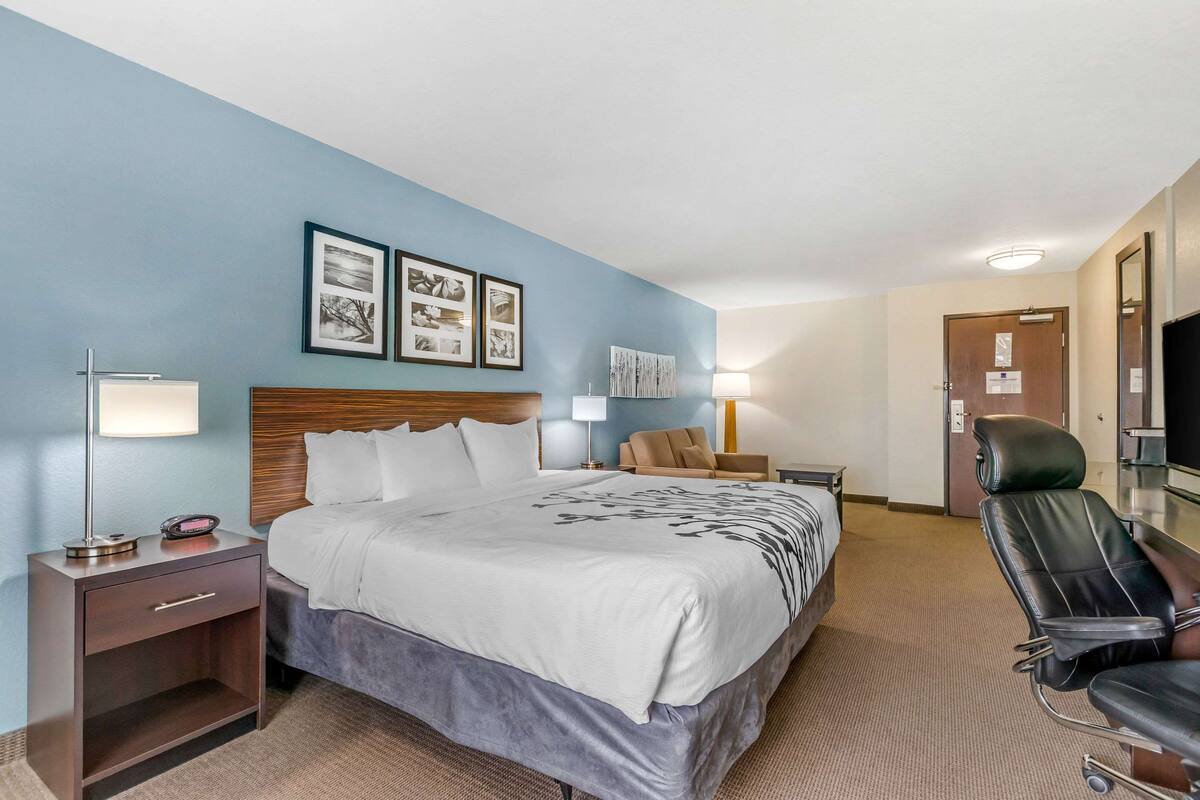 A hotel room with a bed, a desk, a chair, and a TV.