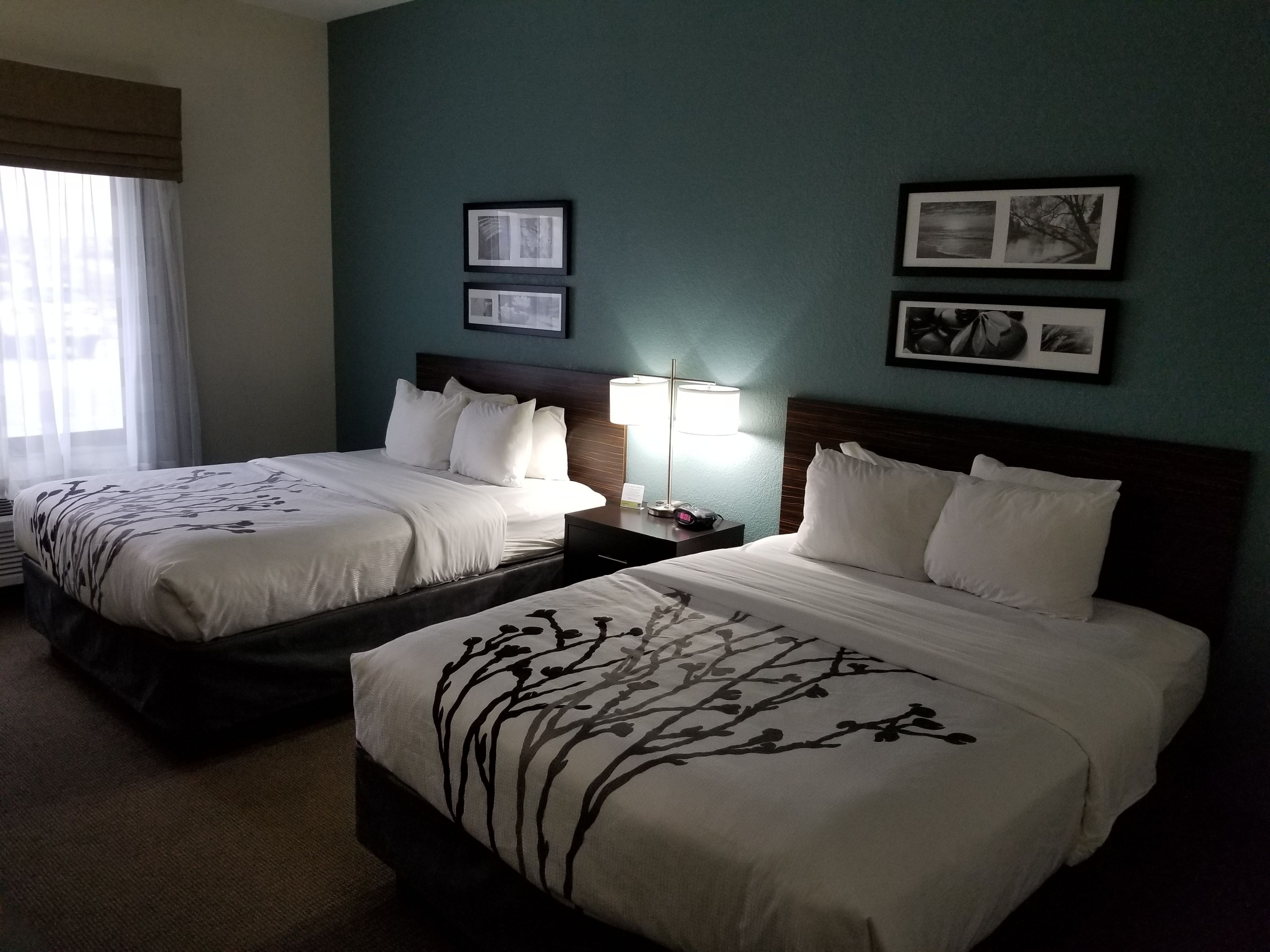 A hotel room with two beds, a nightstand with a lamp, and framed pictures on the wall.