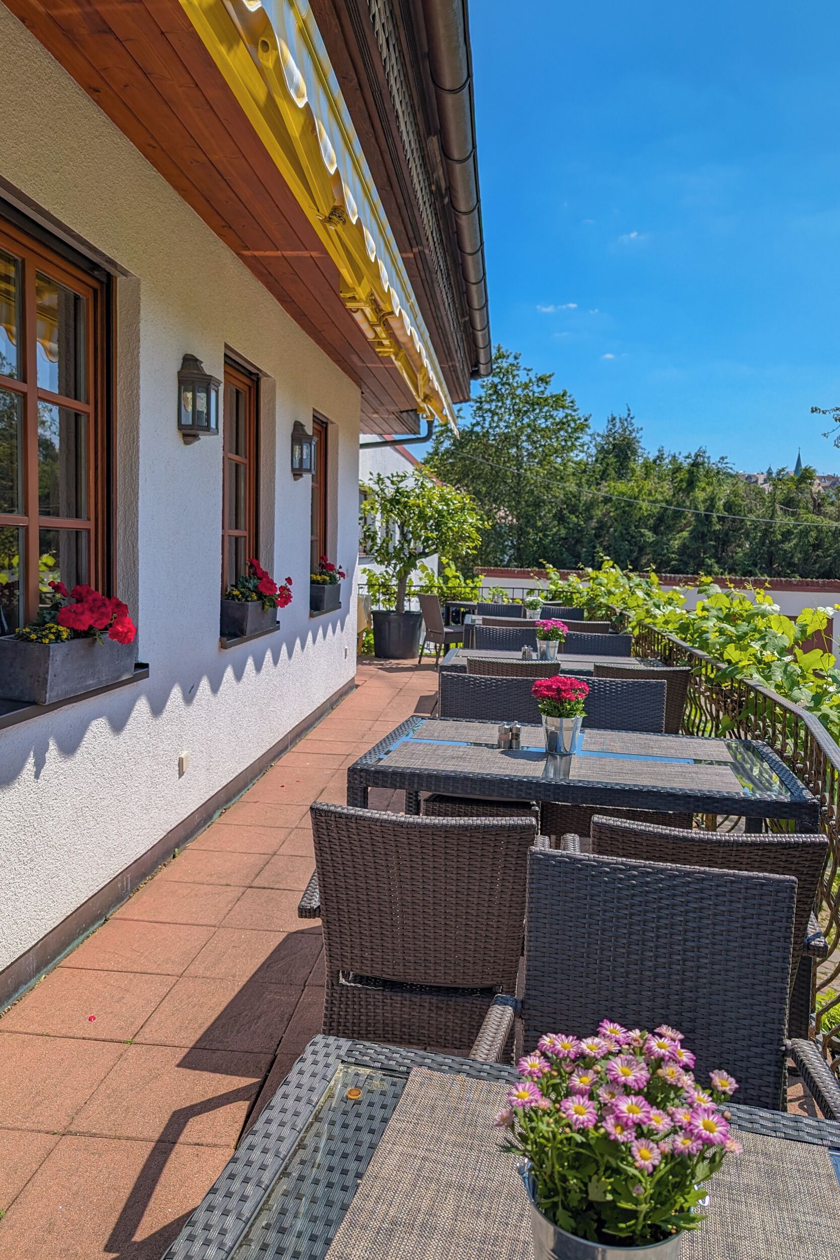 Une terrasse extérieure aménagée avec des meubles en osier, des plantes en pot et offrant une vue dégagée sur la végétation environnante.