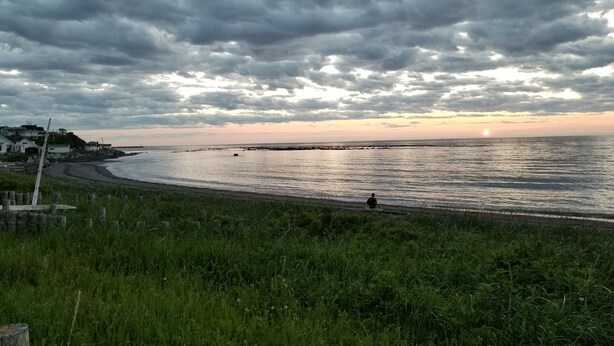 A coastal landscape with a grassy foreground, a beach, and a cloudy sky. - Auberge Internationale La Vieille École (Sainte-Anne-des-Monts)