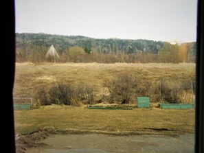 A rural landscape with a field, a small building, and a forest in the background.