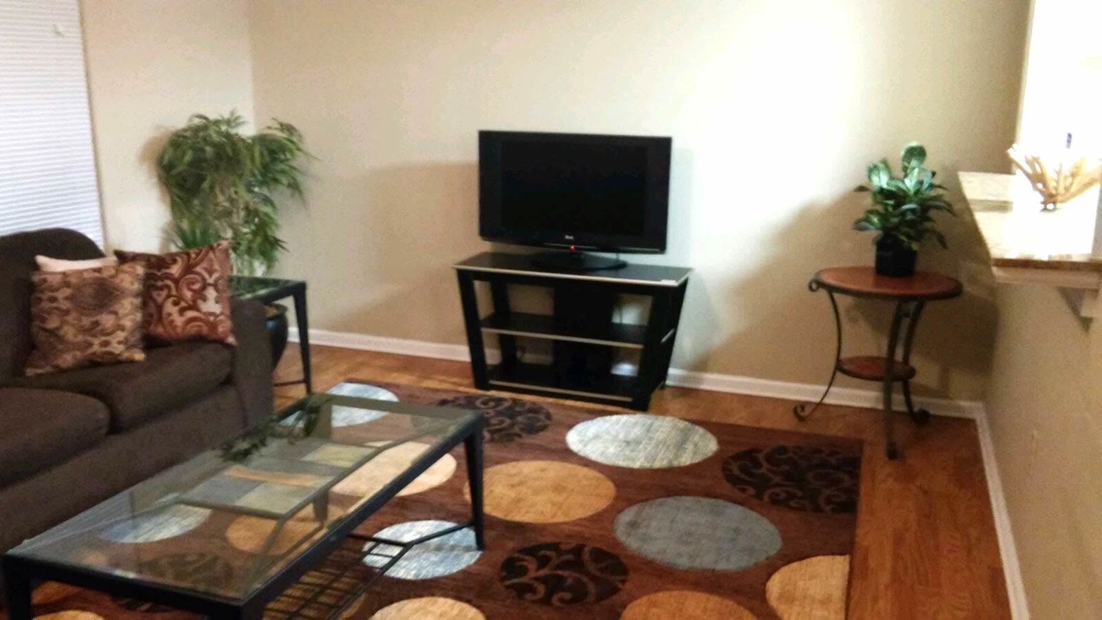 Una sala de estar con un sofá, una mesa de centro de vidrio, un televisor sobre un mueble, una alfombra estampada y una mesita con una planta.