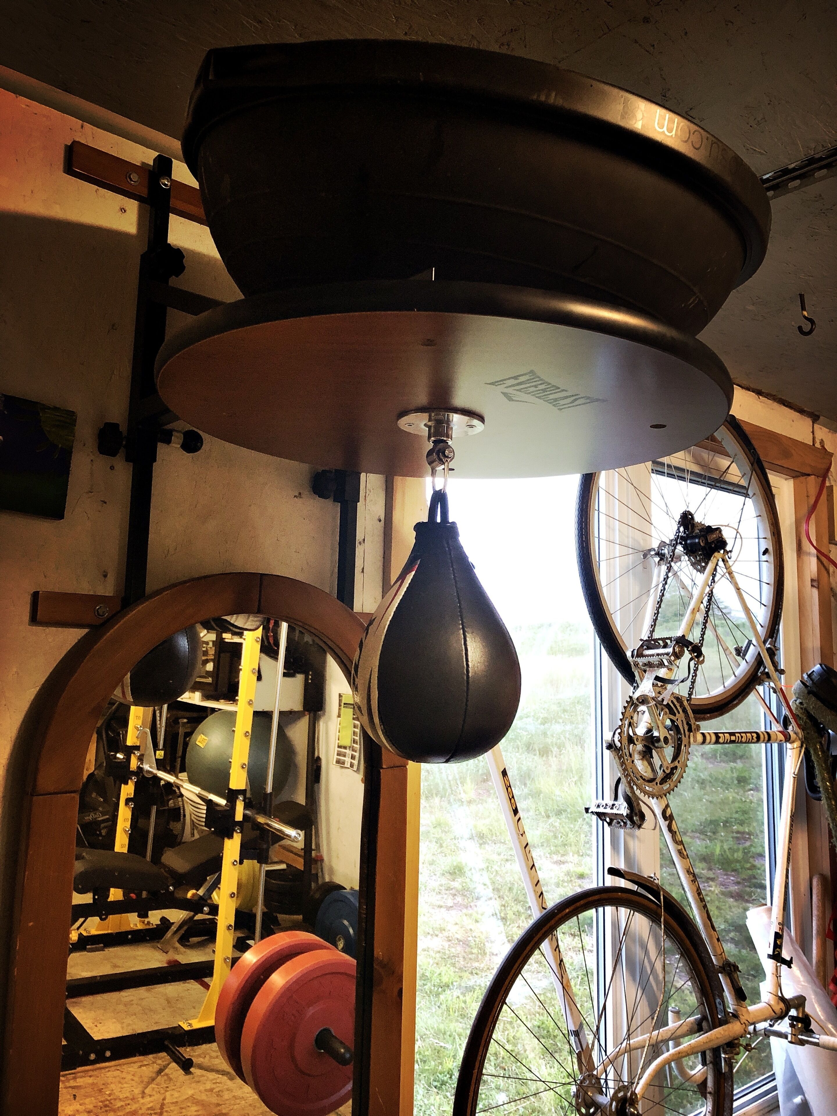 A bicycle mounted on a wall, a ceiling fan, and a window with a view of greenery.