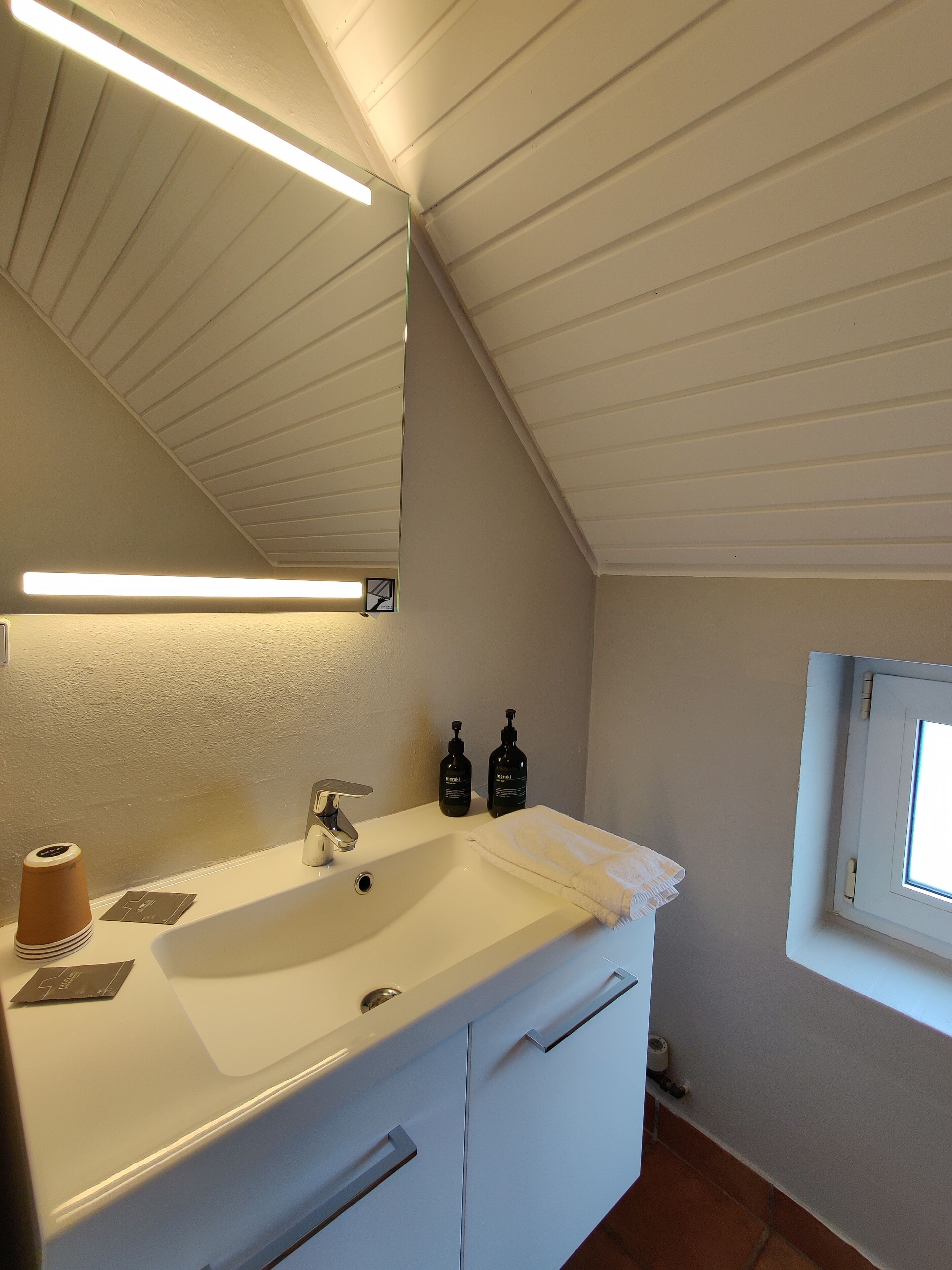 economy double room | bathroom | shower, free toiletries, hair dryer, towels