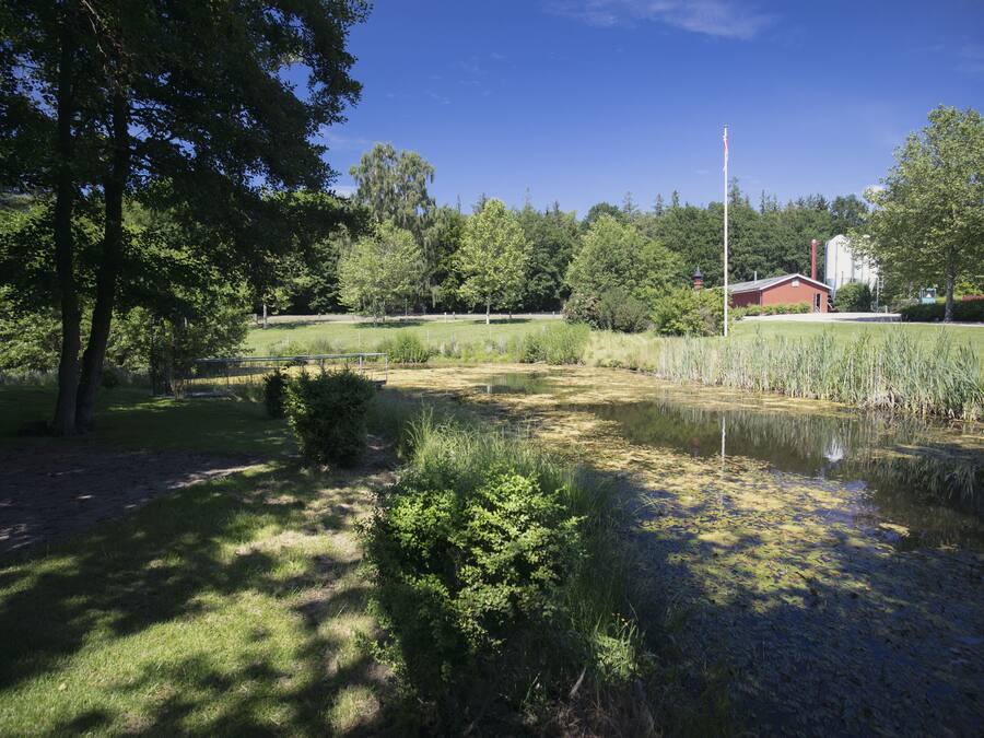 A serene park with a pond, trees, and a red building in the background.