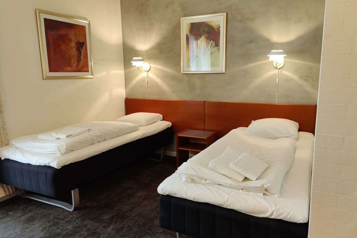 double room | 1 bedroom, desk, soundproofing, iron/ironing board