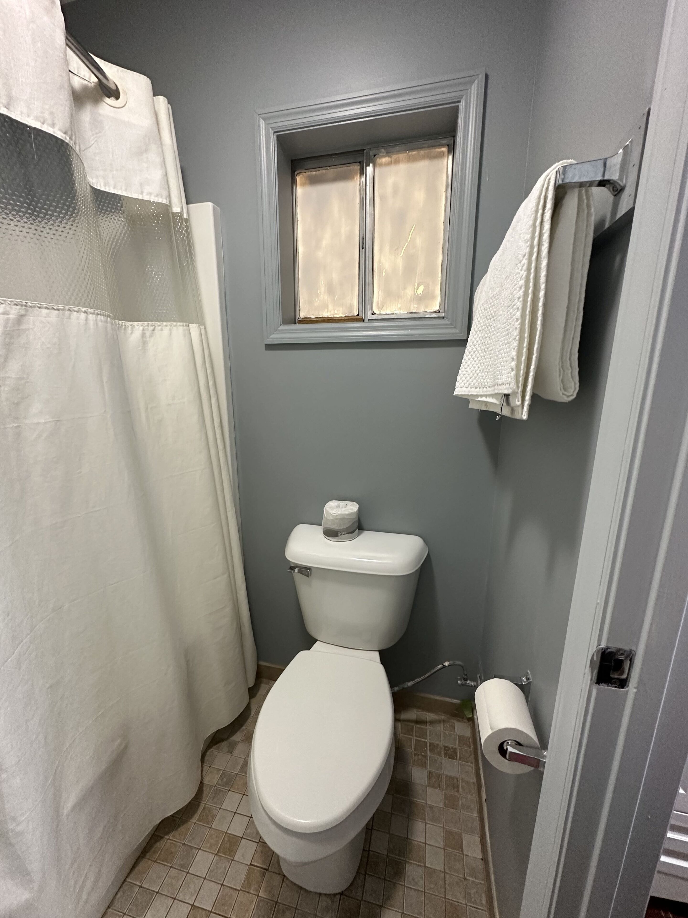 Et lille badeværelse med toilet, et vindue, en bøjle til håndklæder og en bruseforhæng.
