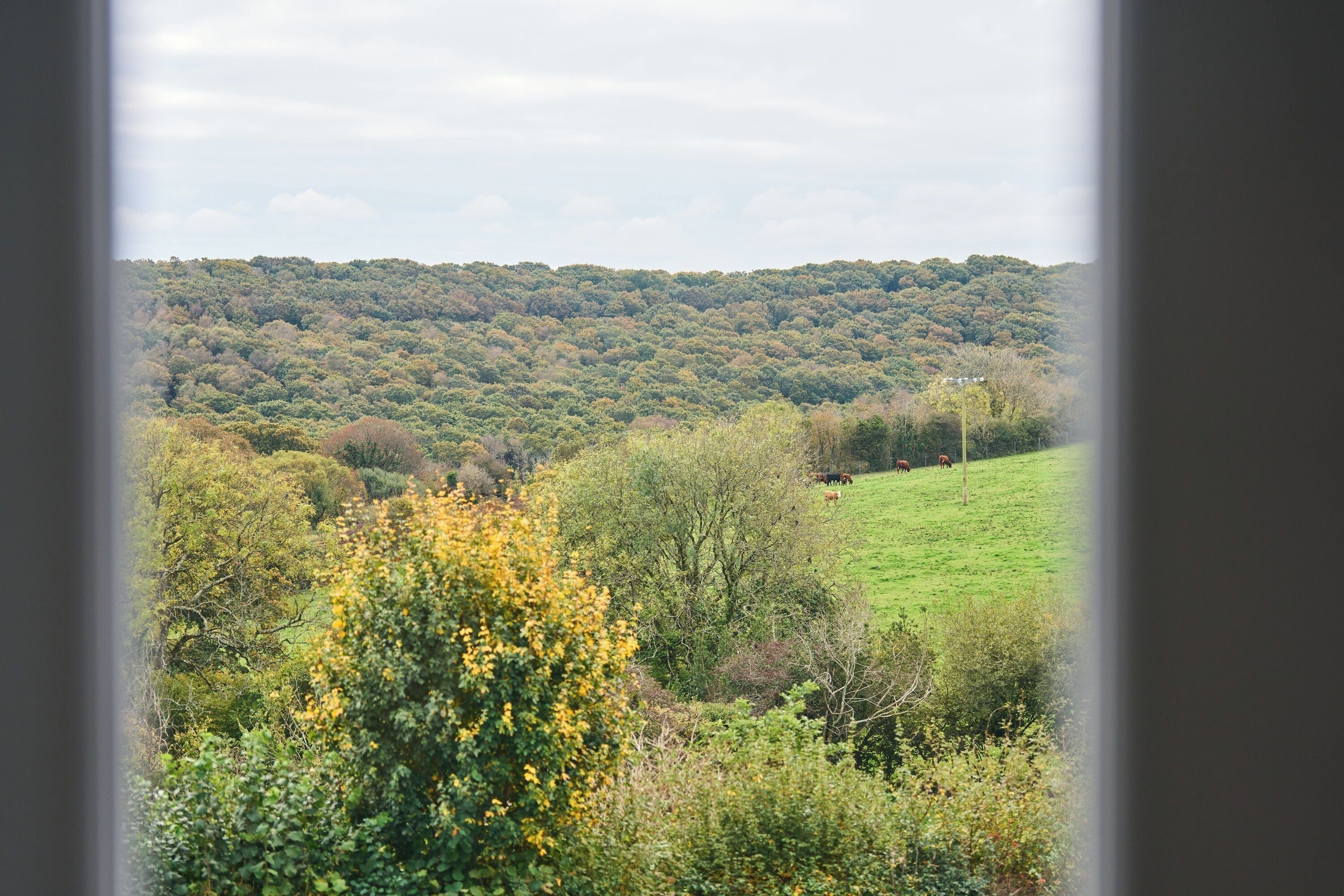 A rural landscape with a hill in the background and a green field in the foreground.