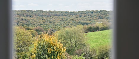 A rural landscape with a hill in the background and a green field in the foreground.