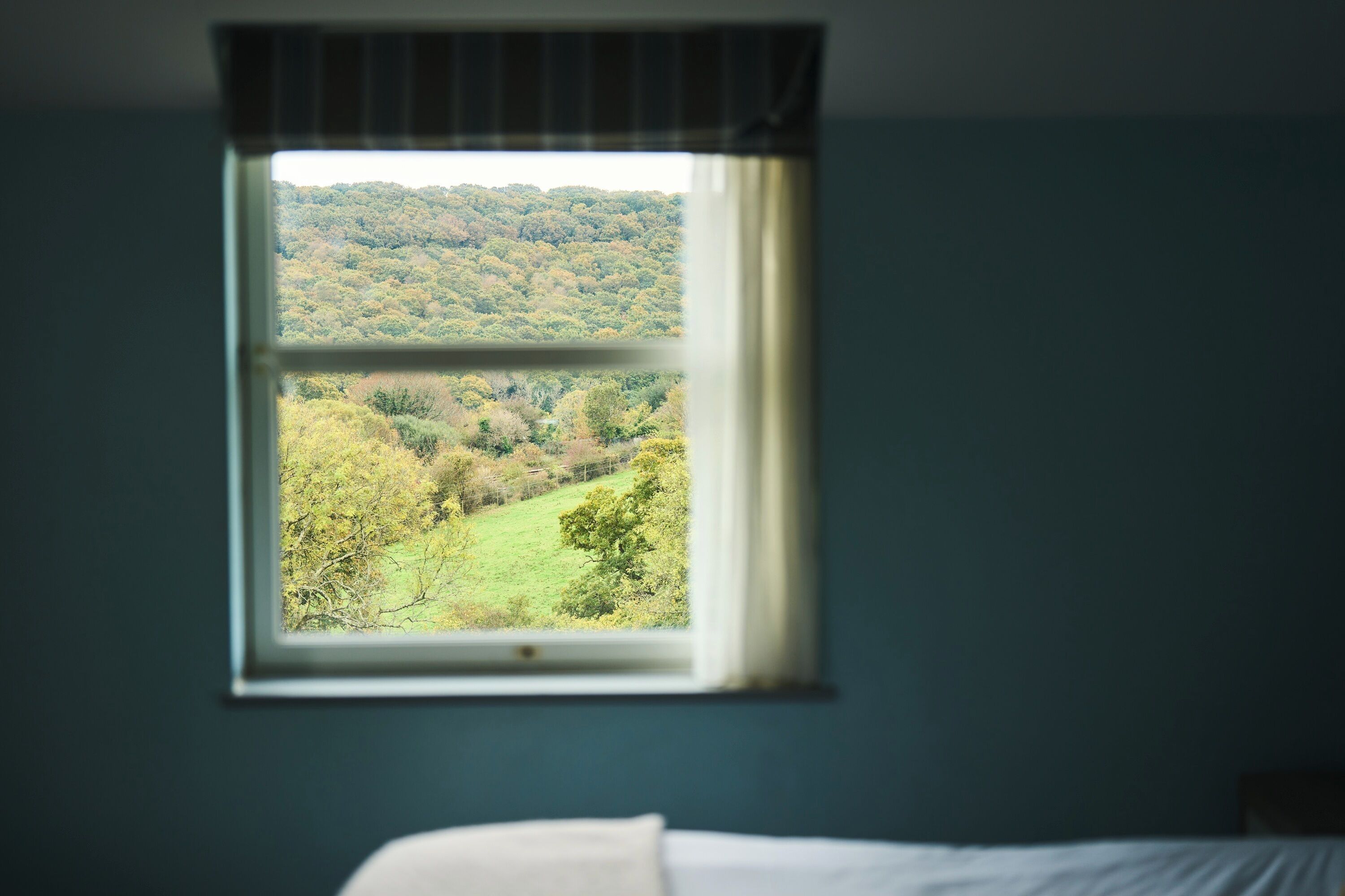 Een kamer met een bed en een raam met uitzicht op een bebost landschap.