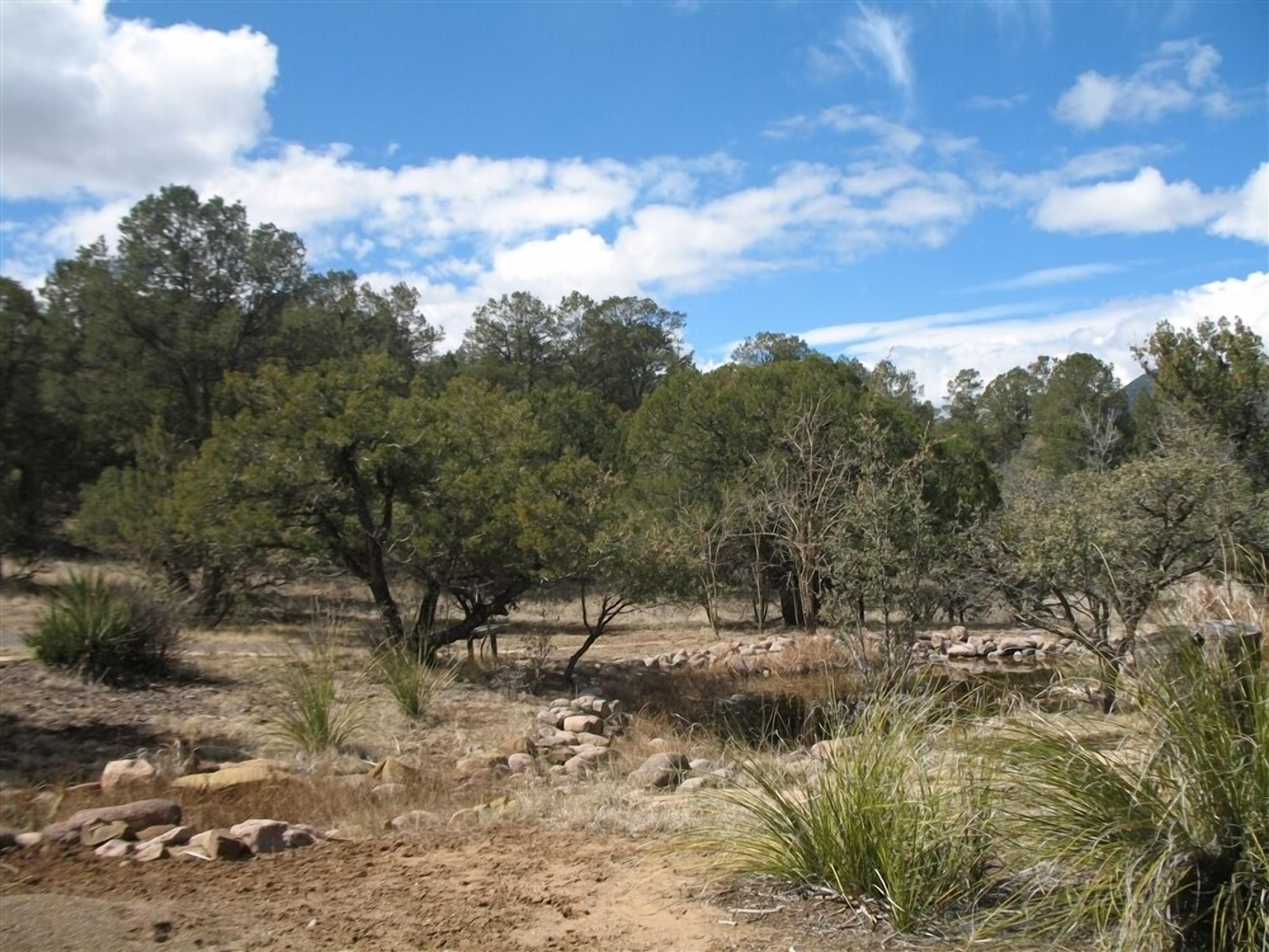 1 bedroom, iron/ironing board, free wifi