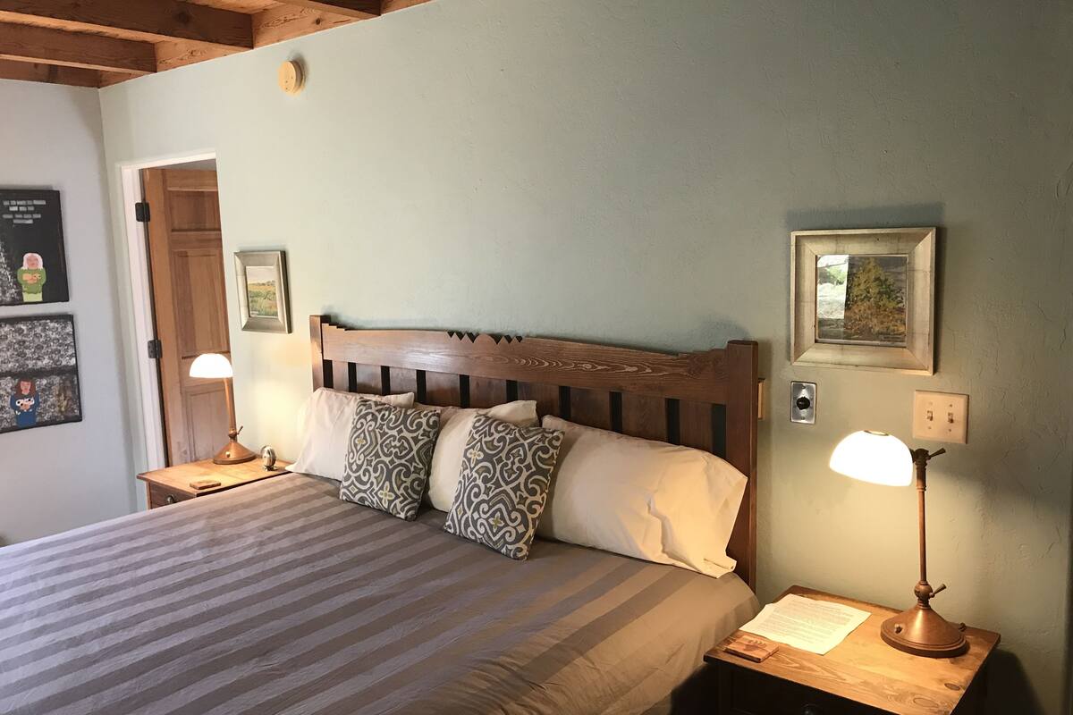 standard room, 1 king bed | 1 bedroom, iron/ironing board, free wifi