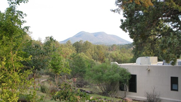 A residential area with a house surrounded by greenery and a mountain in the background. - Bear Mountain Lodge (Silver City)