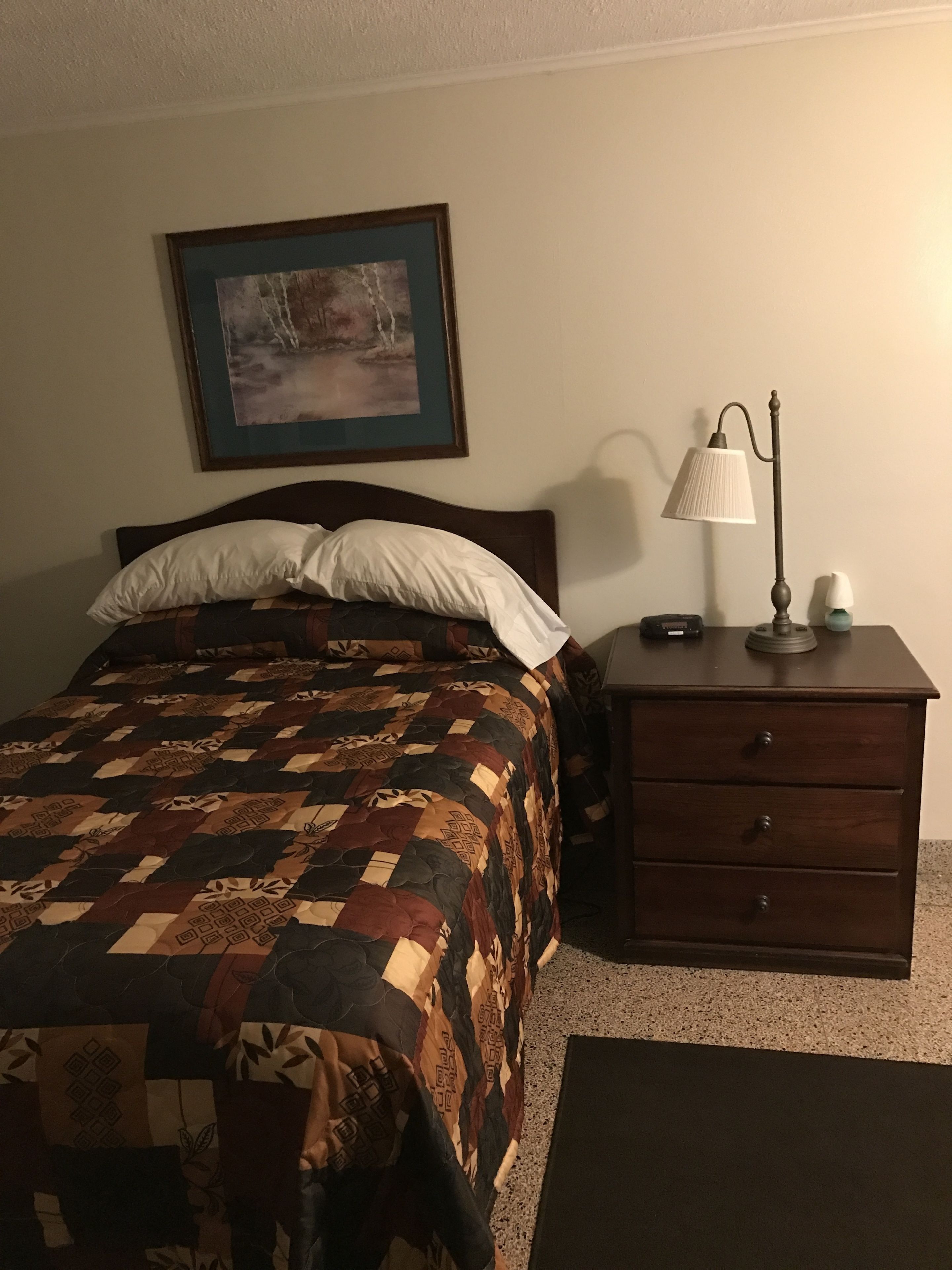 A bedroom with a bed, a nightstand, a lamp, a framed picture on the wall, and a rug.