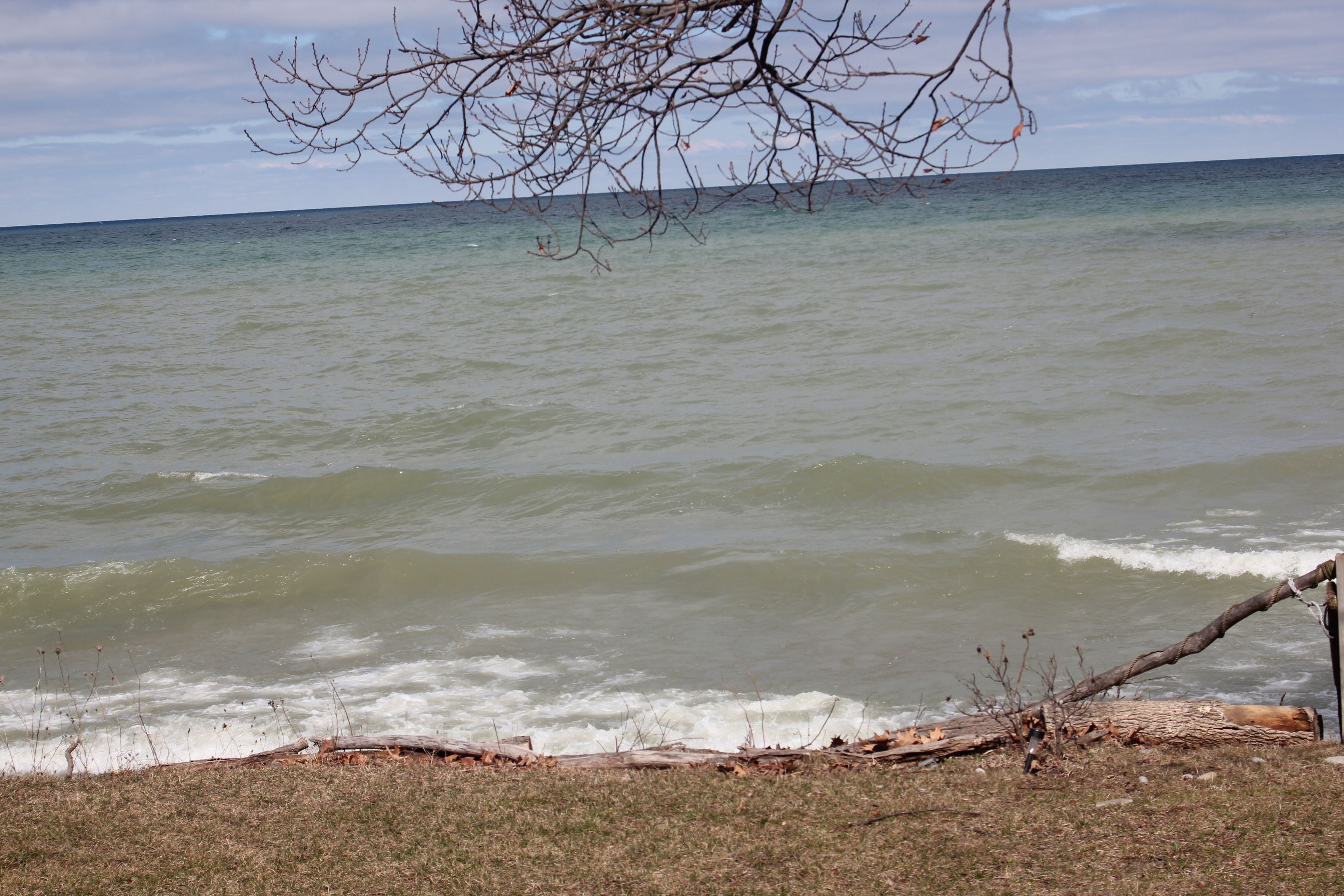 Foto - Evergreen Motel