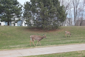 Point of interest - The Evergreen Motel (Oswego)