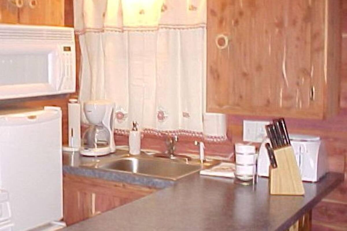 Cabin, 1 Bedroom, Park View | Private kitchenette | Coffee/tea maker, fridge, microwave
