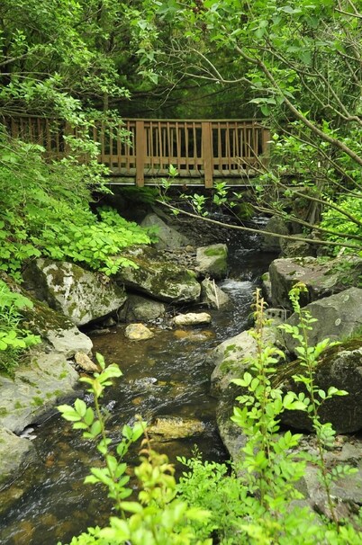 Stay Berkshires