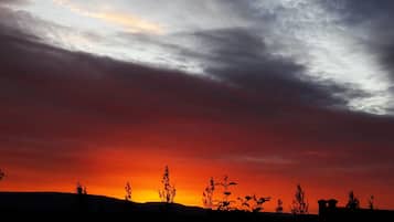Solnedgang med silhuetter af planter og bygninger mod en dramatisk himmel.