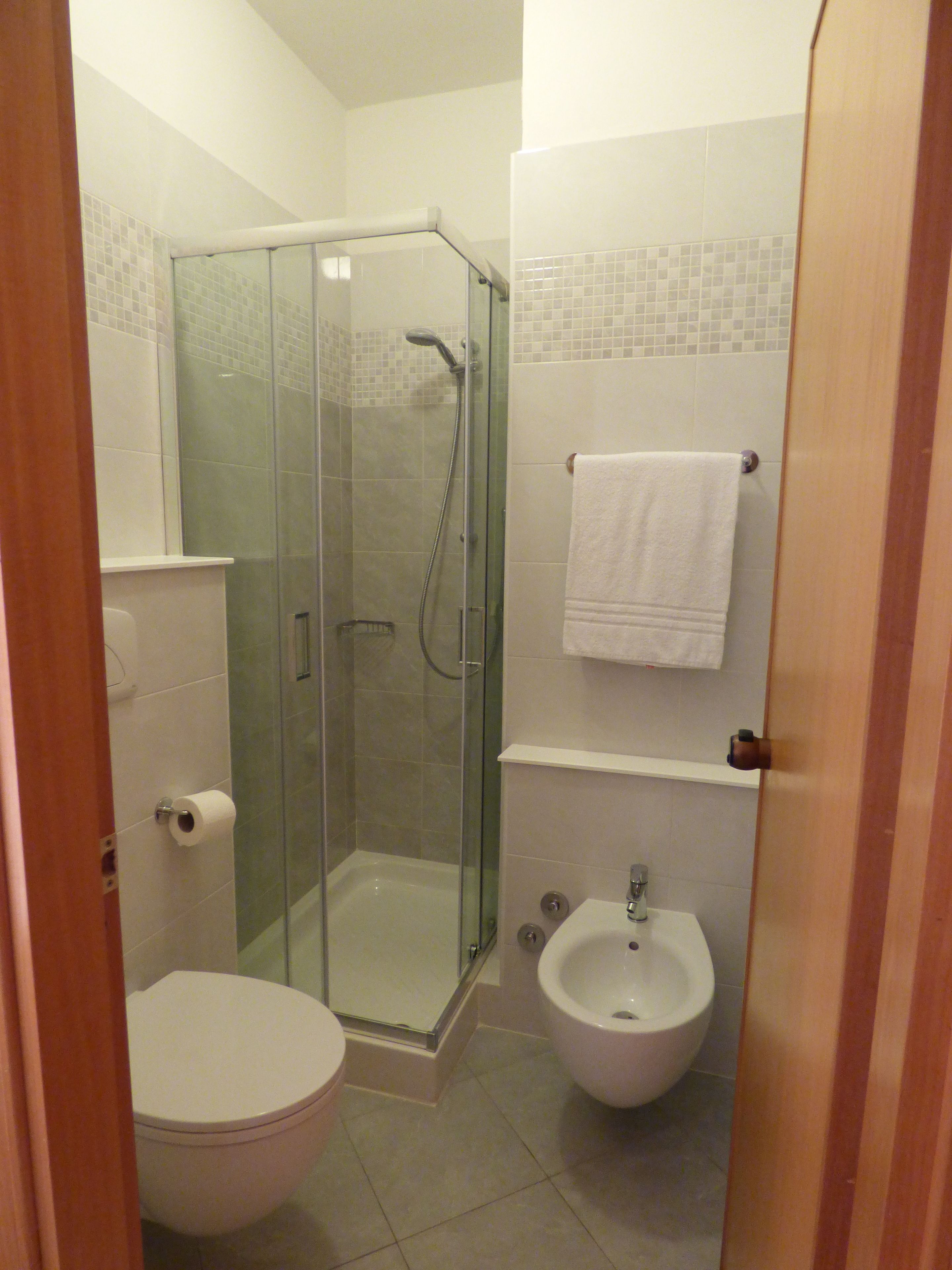 Ein Badezimmer mit Duschkabine, Toilette und Bidet.