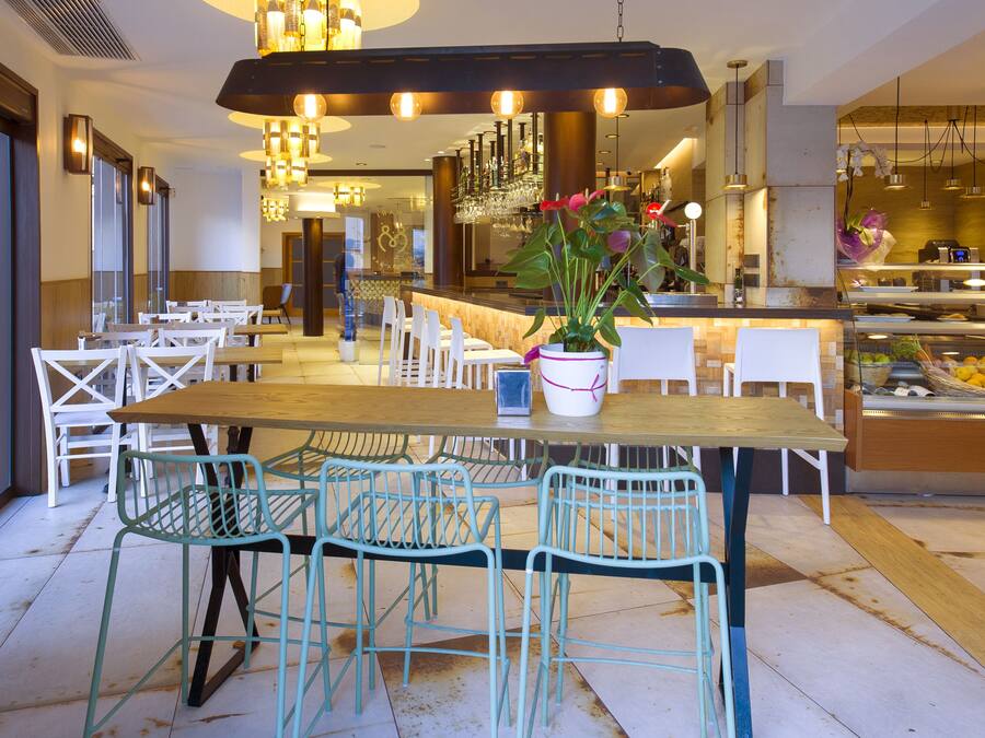 Un comedor moderno con una larga mesa de madera, sillas color turquesa y una planta en maceta en el centro.