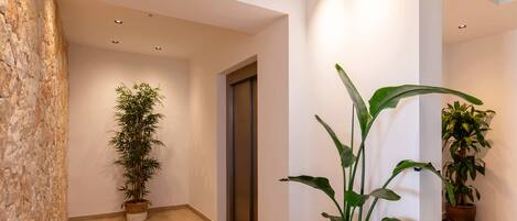 Un pasillo con suelo de madera, una pared de piedra a la izquierda y plantas en macetas a lo largo de las paredes.
