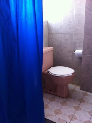 Uma casa de banho com sanita rosa, suporte para papel higiénico e cortina de chuveiro azul.