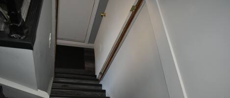 A staircase with dark wooden steps leading to a door with a brass handle.