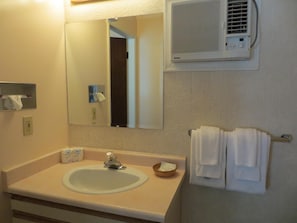 Bathroom features a single sink with a mirror above, air conditioning unit, and towel rack.