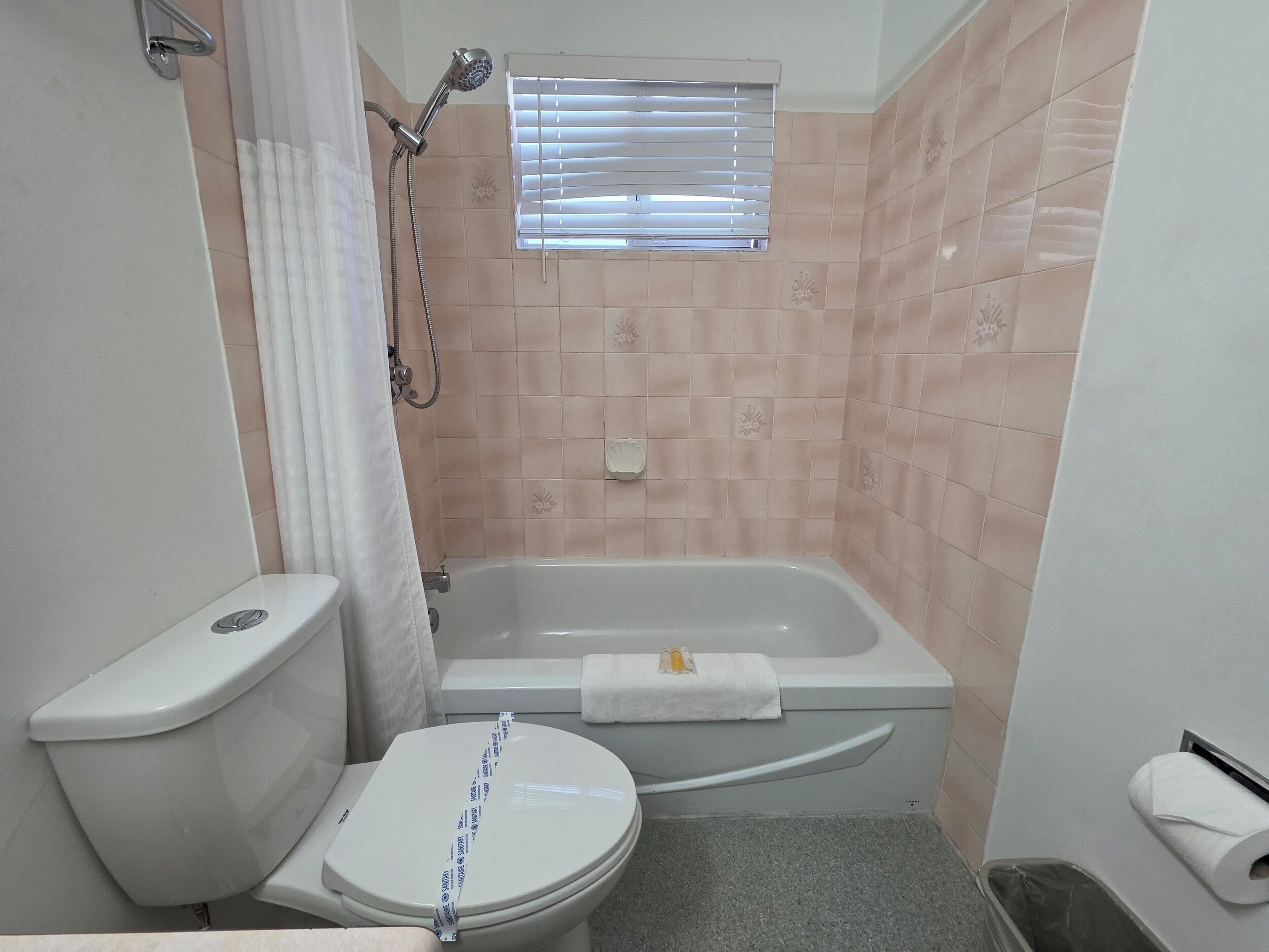 A bathroom with a toilet, a shower, and a bathtub.
