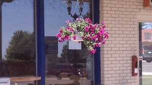 A building with a brick facade, large windows, and a hanging flower basket. - The Monticello Inn (Monticello)