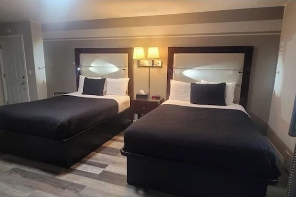 Standard Room, 2 Queen Beds | Desk, free WiFi, bed sheets