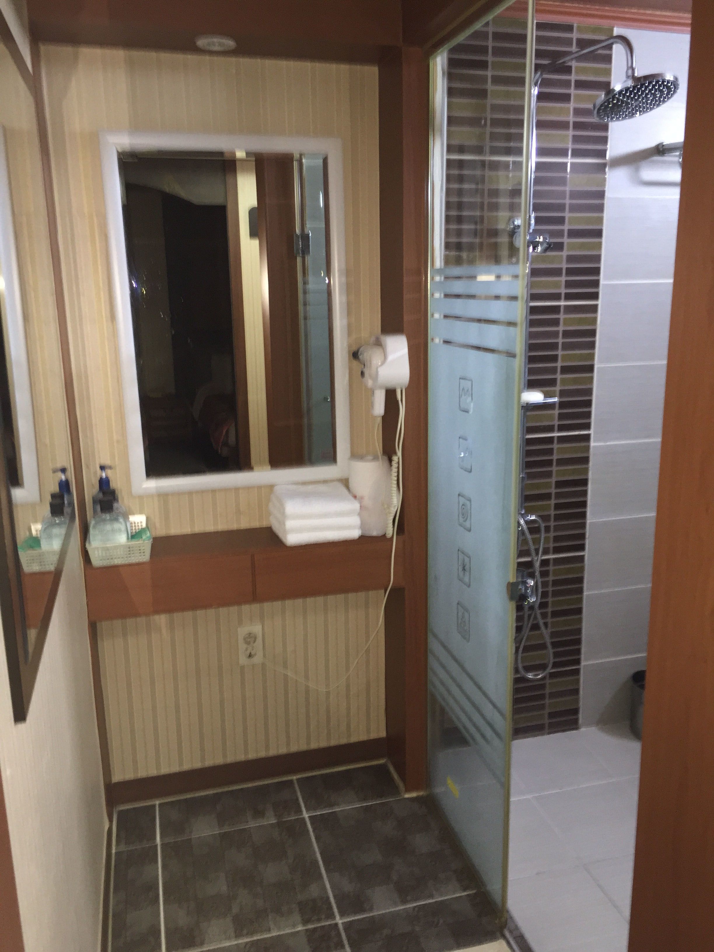Shower, hair dryer, towels