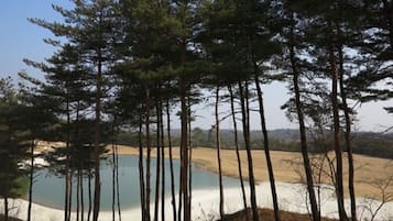 A natural landscape with a body of water and trees.