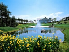 Área de parrillas y picnic